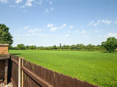 Picture 27
